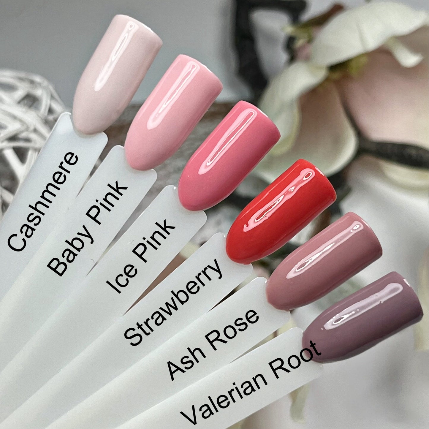 Blush & Burnt Farbgel Set Herbst 2024 Nails Factory Blush & Burnt Farbgel Set Herbst 2024 Nails Factory Farbgel Cashmere NF Farbgel Baby Pink NF Farbgel Ice Pink NF Farbgel Strawberry NF Farbgel Ash Rose NF Farbgel Valerian Root NF