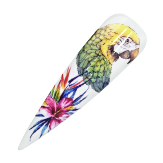 Nailart Tattoo Tropical II