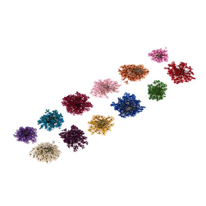 12er Set Trockenblumen