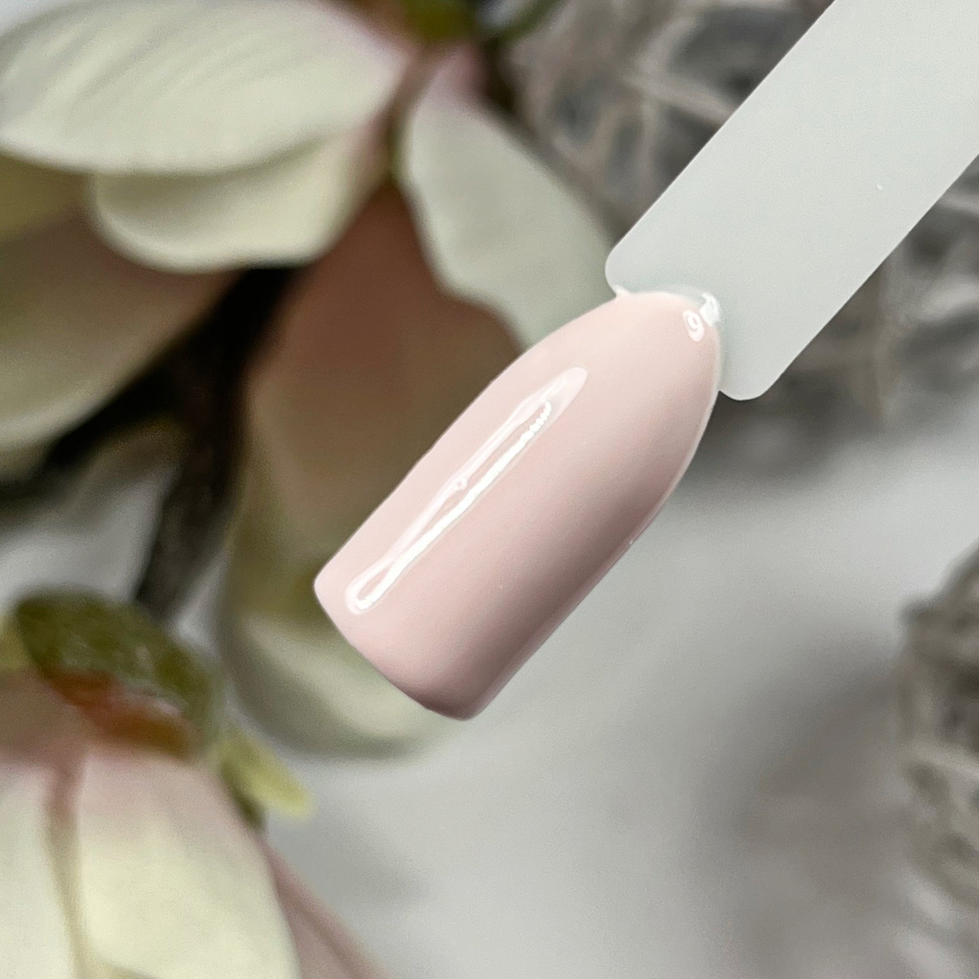 Blush und Burnt Farbgel-Set Herbst 2024 von Nails Factory, Cashmere-Farbgel in verschiedenen Tönen, auf einem weißen Hintergrund.