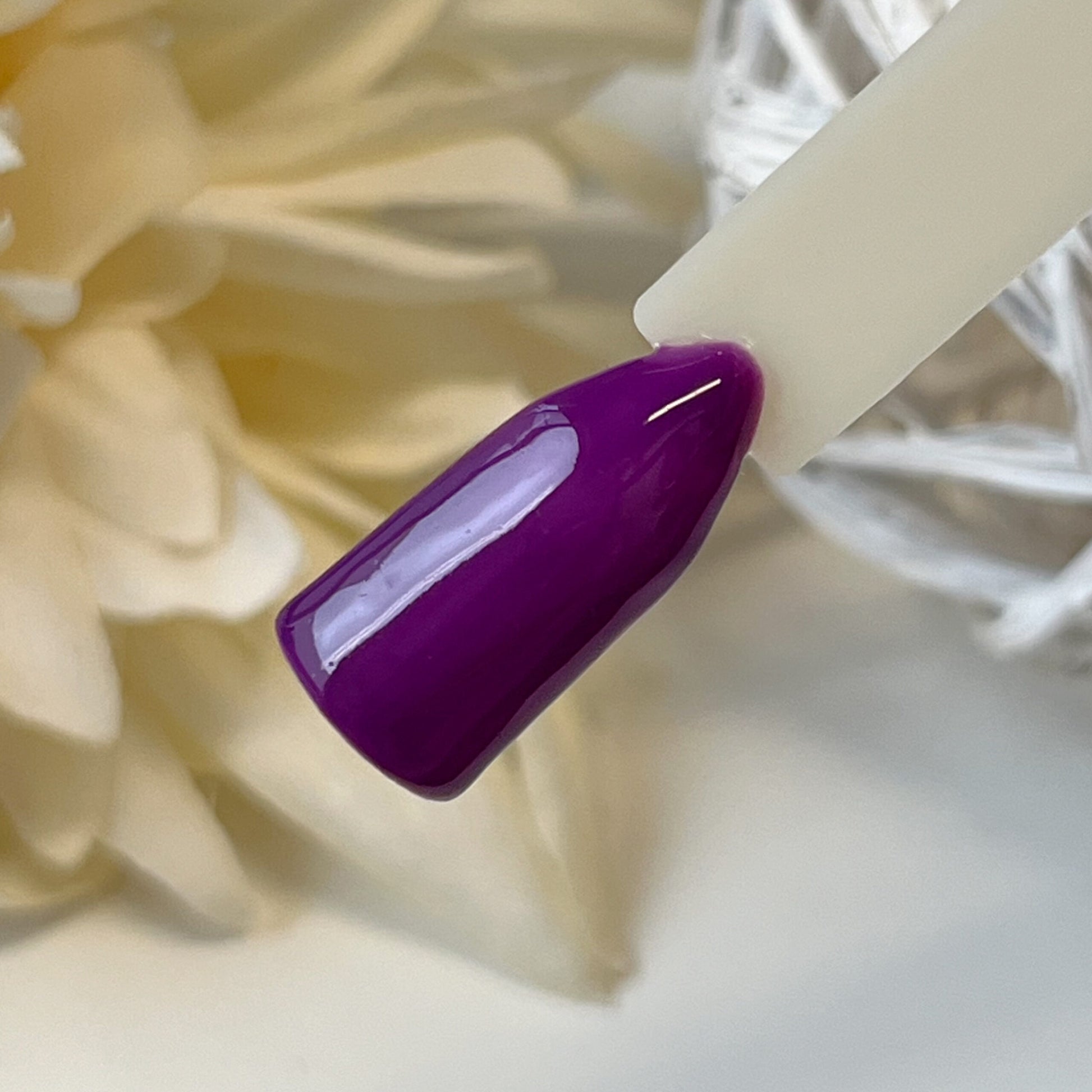 Pumpkin Farbgel Kollektion Herbst 2024 von Nails Factory, lila und violette Farbgel-Designs auf einer Nagelmodellage.