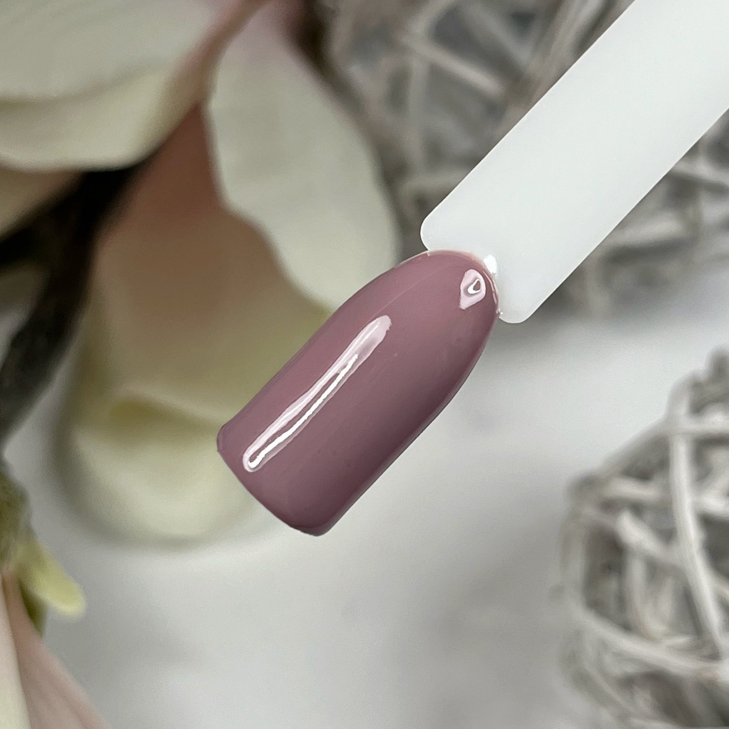 Farbgel-Set Blush & Burnt mit Herbstfarben, Nails Factory, inklusive Farbgel Valerian Root, für Nageldesigns.