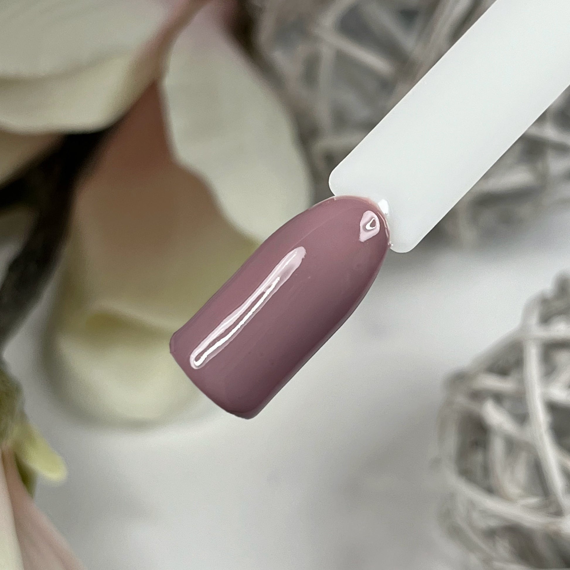 Farbgel-Set Blush & Burnt mit Herbstfarben, Nails Factory, inklusive Farbgel Valerian Root, für Nageldesigns.